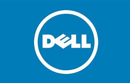 DELL1